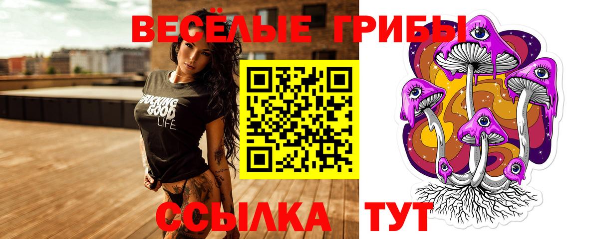 Галлюциногенные грибы Cubensis Чебаркуль