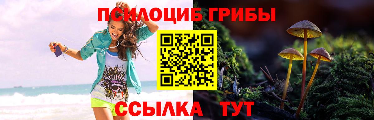 Чебаркуль  Псилоцибиновые грибы Magic Shrooms  Псилоцибиновые грибы мицелий  что такое наркотик  Вход с VPN 